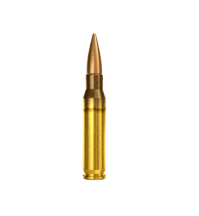 7.62×51 mm Cartridges